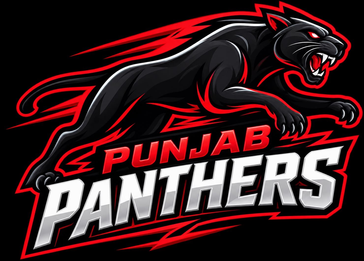 Punjab Panthers logo