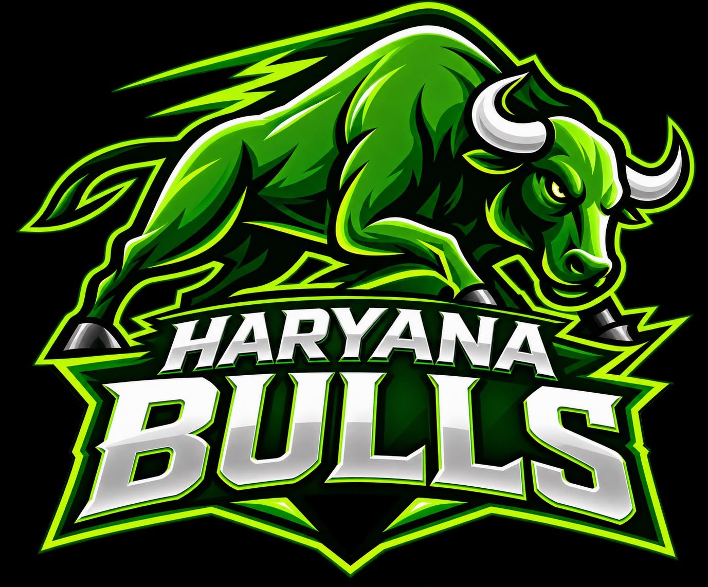 Haryana Bulls logo
